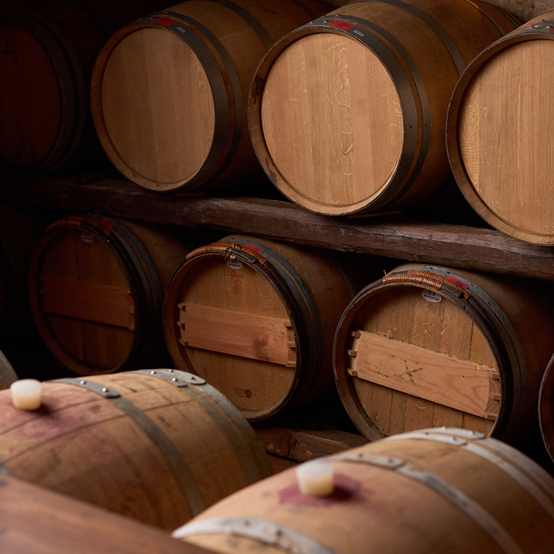 borgo-conventi-primi-passi-gallery-03