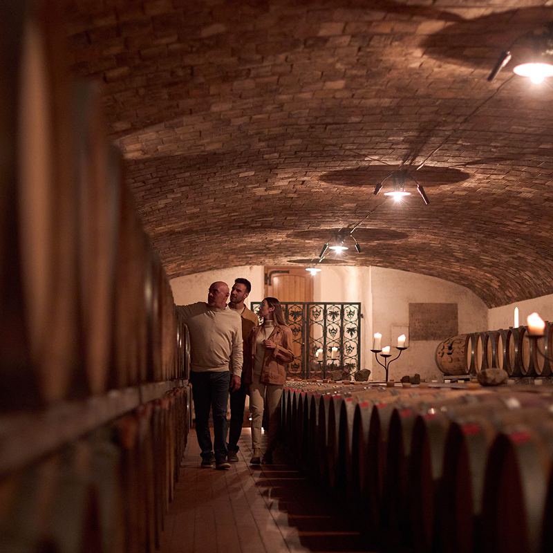 borgo-conventi-primi-passi-gallery-04